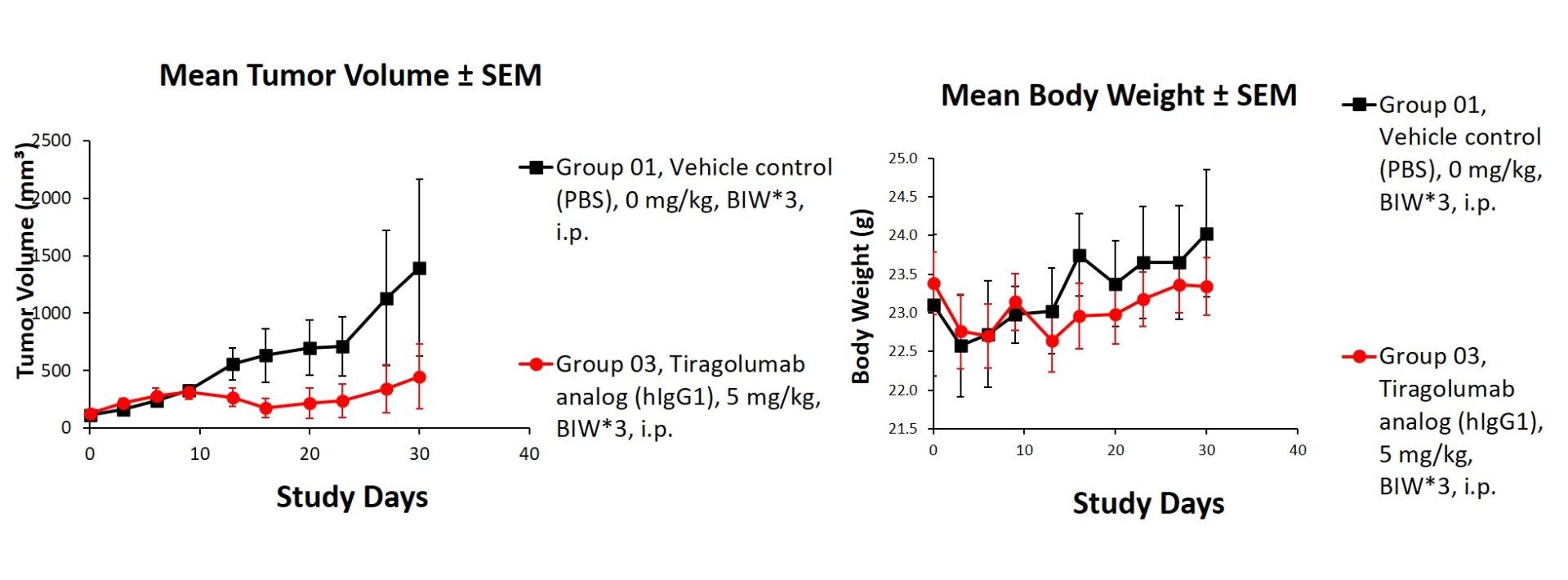 PD1/TIGIT/TIM3 Humanized Immune Checkpoint Mouse Model