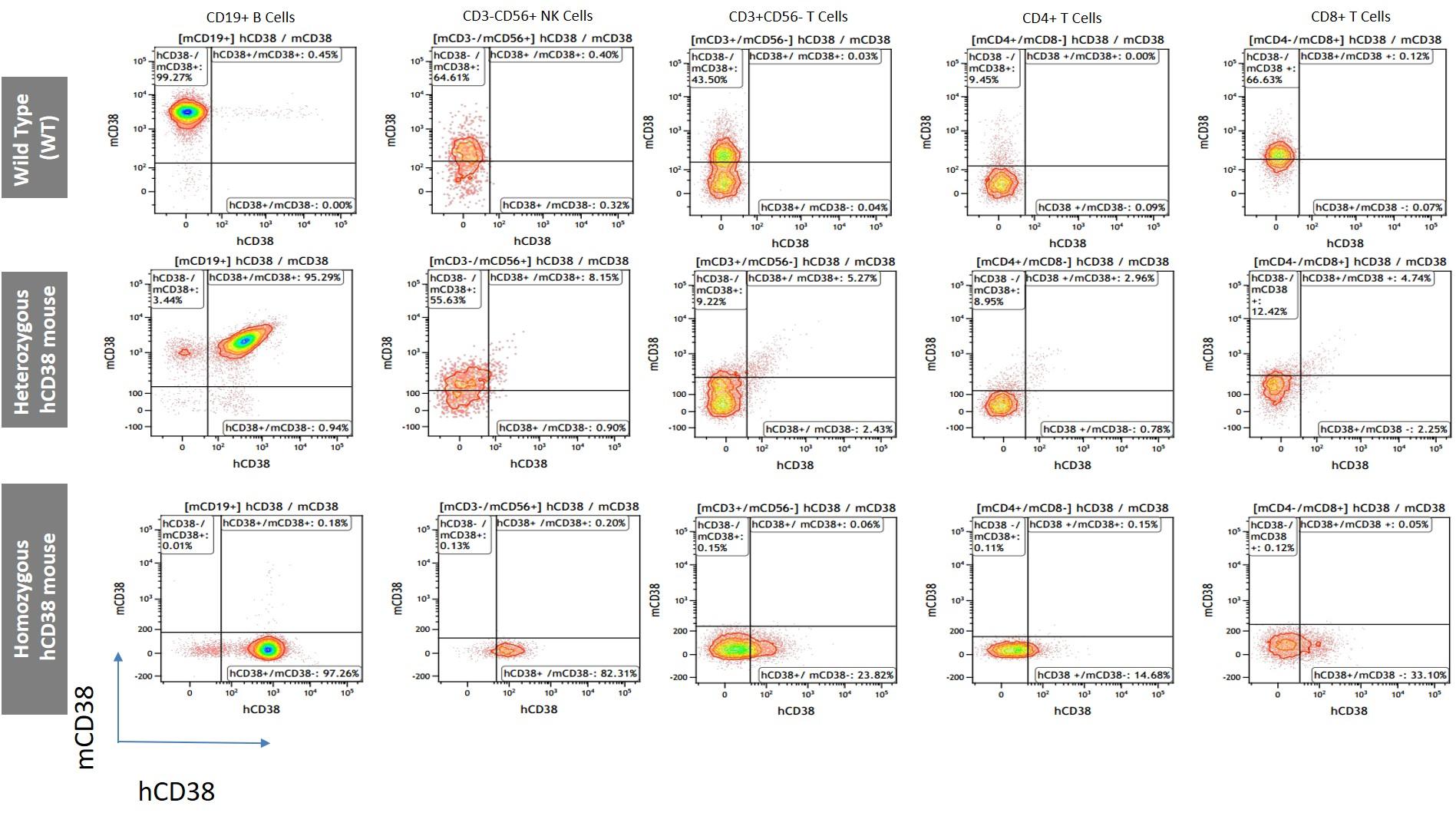 CD38 Humanized Immune Checkpoint Mouse Model