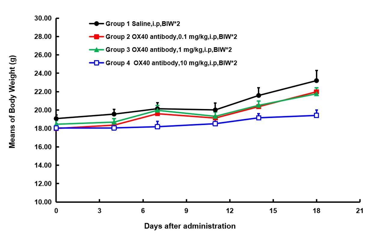 OX40 Humanized Immune Checkpoint Mouse Model