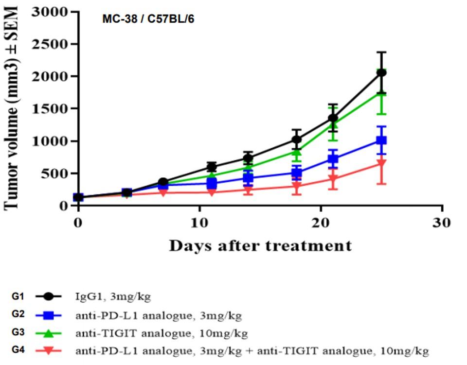 PD1/TIGIT/TIM3 Triple Humanized Immune Checkpoint Mouse Model