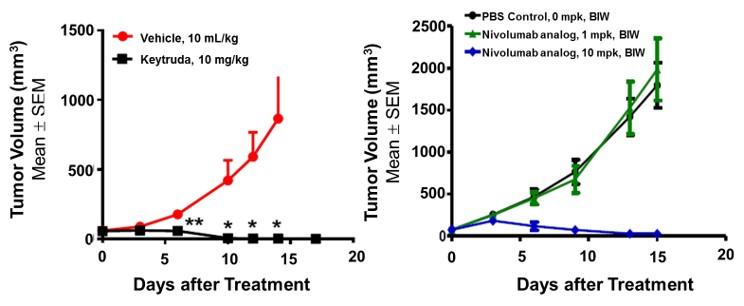 PD1&,TIM3 Humanized Immune Checkpoint Mouse Model