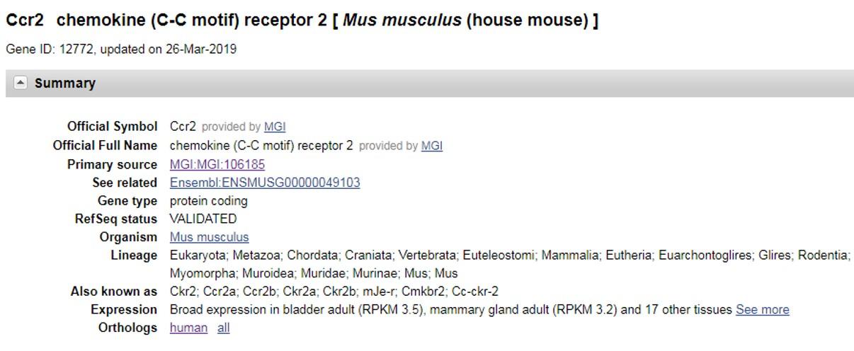 CCR2 Humanized Immune Checkpoint Mouse Model