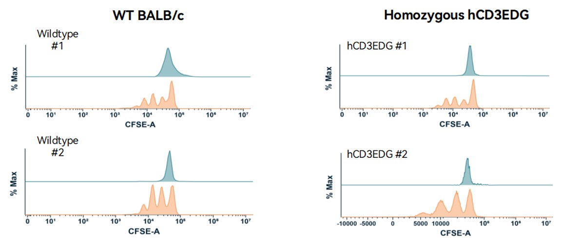Image for ASHU-220122