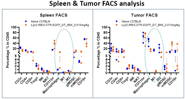 Image for ASKI-190041