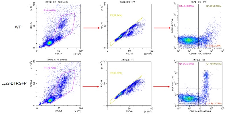 Image for ASKI-190041