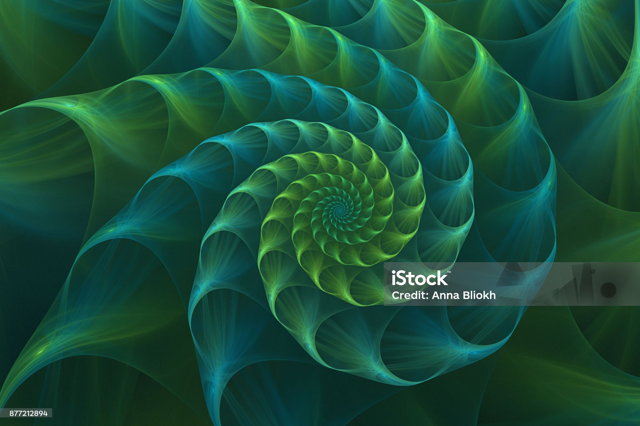 istockphoto-877212894-2048x2048