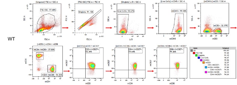 Image for ASHU-190035