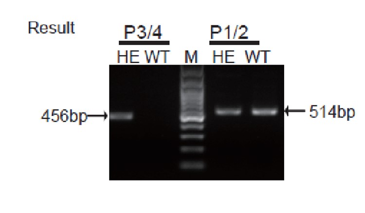 Image for ASHU-18030