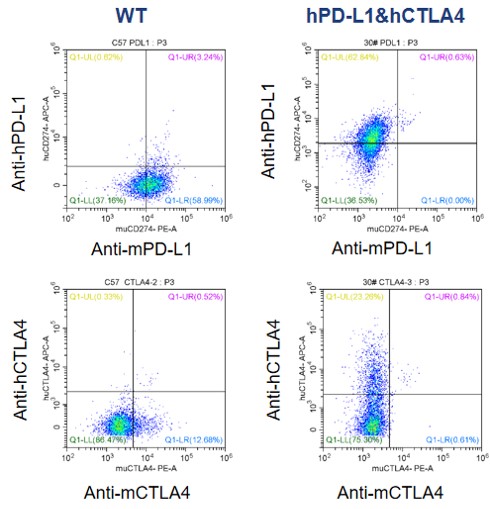 Image for ASHU-00102