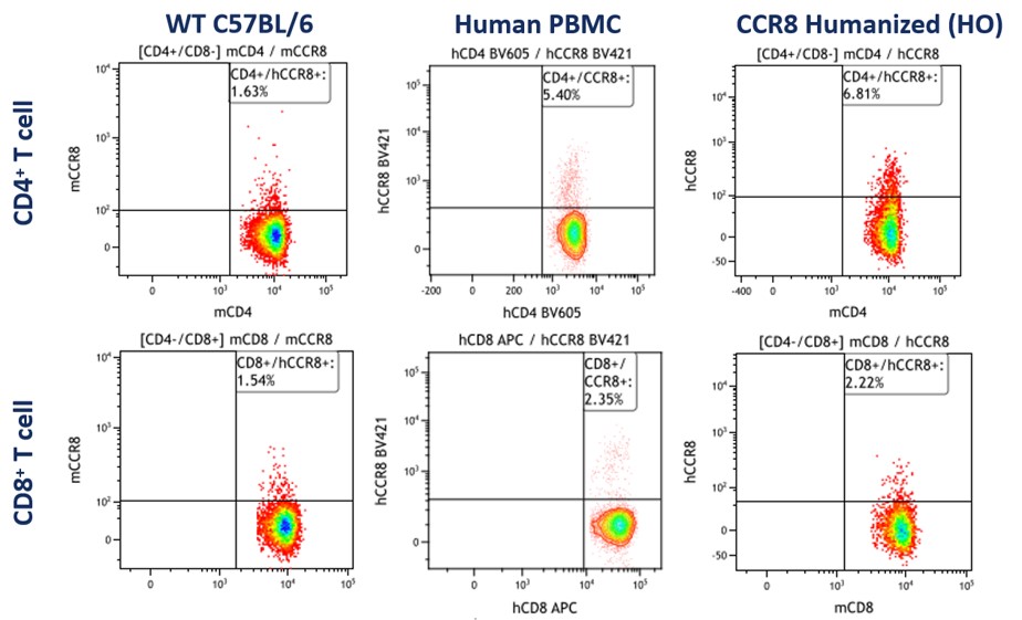 Image for ASHU-2000054