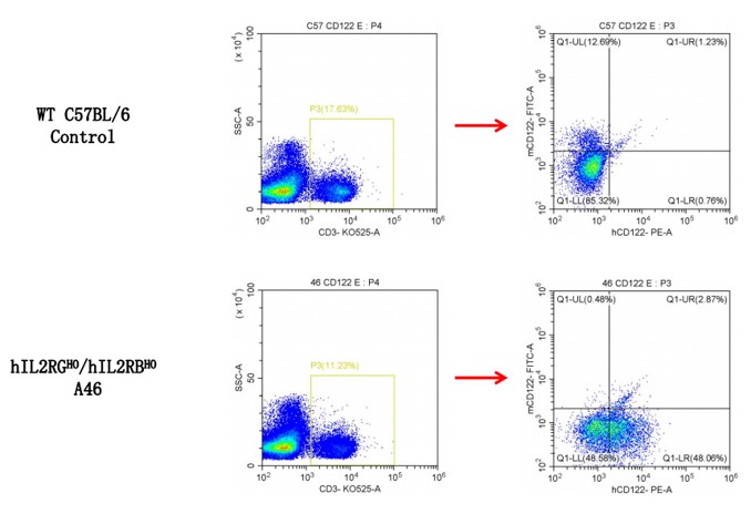 Image for ASHU-210354