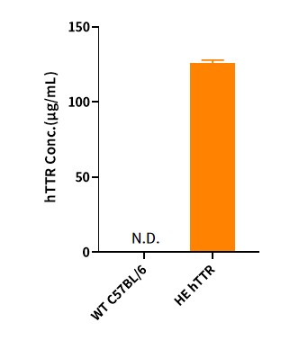 Image for ASHU-225087