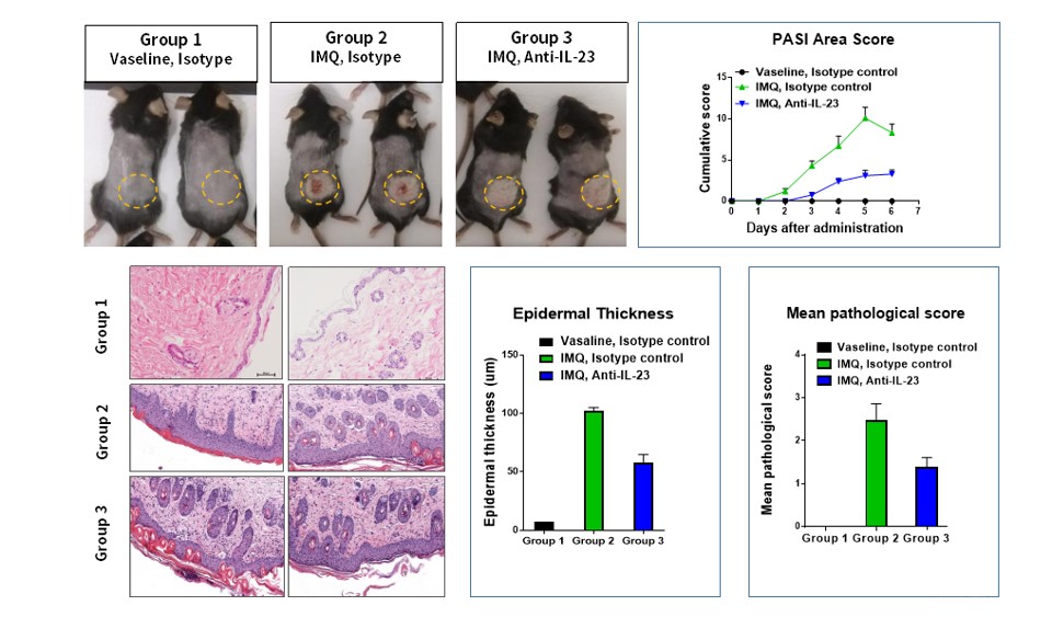 Image for ASHU-18030