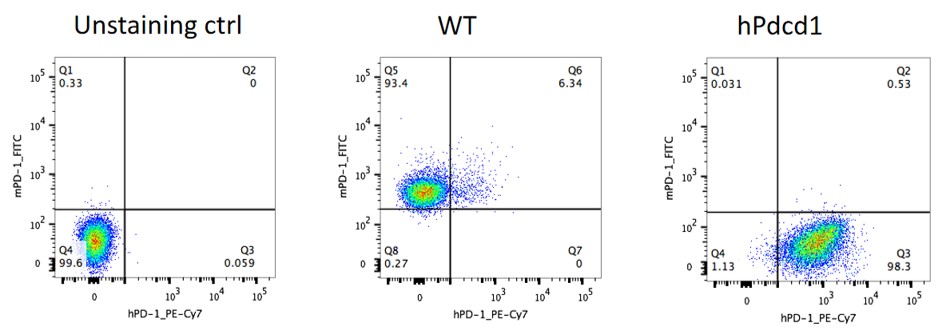 Image for ASHU-190017