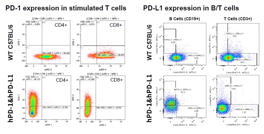 Image for ASHU-00100