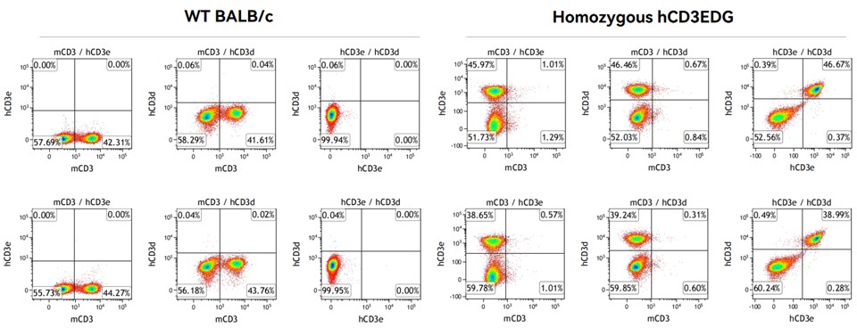 Image for ASHU-220122