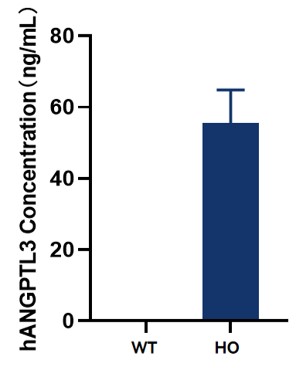 Image for ASHU-210036