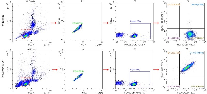 Image for ASHU-200114