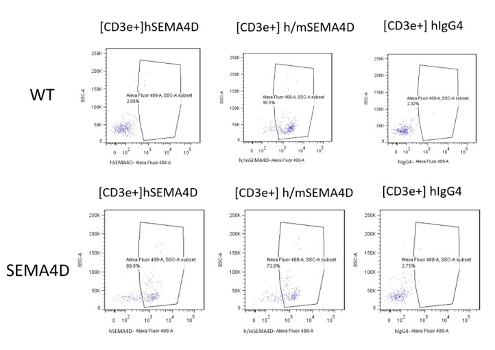 Image for ASHU-00117