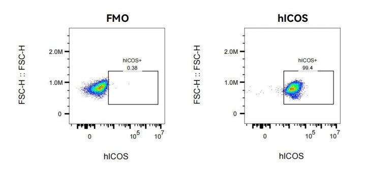 Image for ASHU-18018