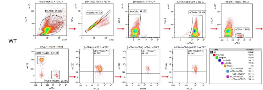 Image for ASHU-190035