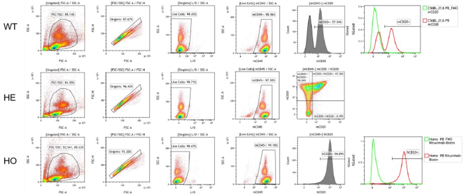 Image for ASHU-200114