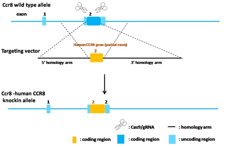 Image for ASHU-2000054