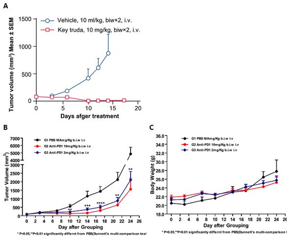 Image for ASHU-190017