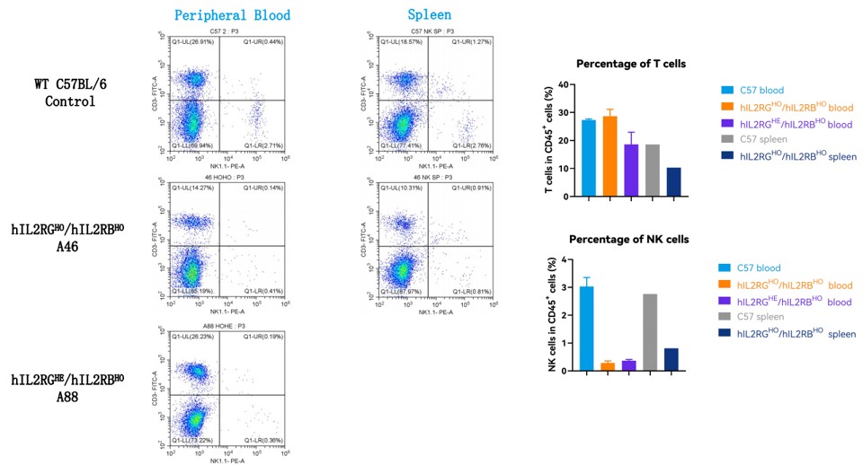 Image for ASHU-210354