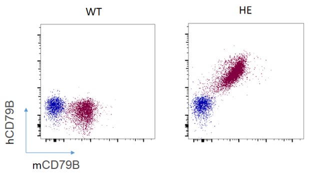 Image for ASHU-2000012