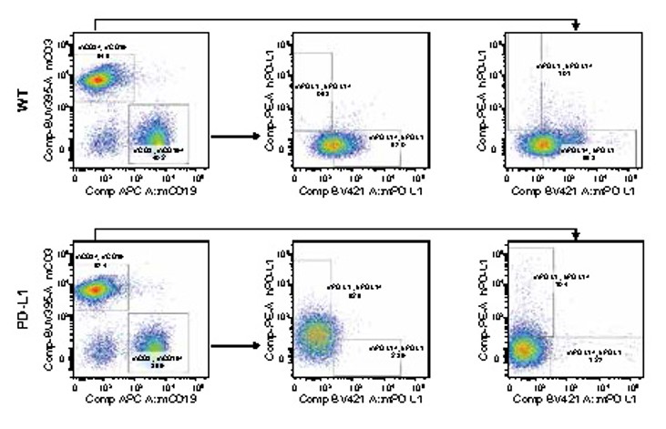 Image for ASHU-200260
