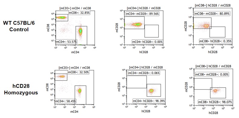 Image for ASHU-190011