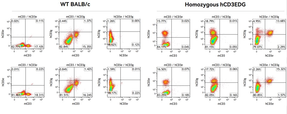 Image for ASHU-220122