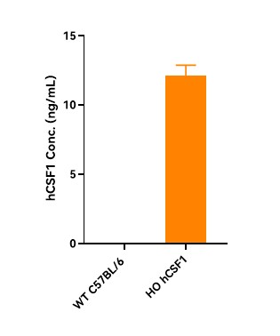 Image for ASHU-190043