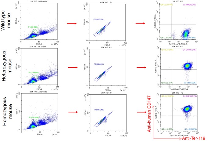 Image for ASHU-2000021