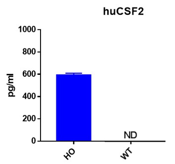 Image for ASHU-190046