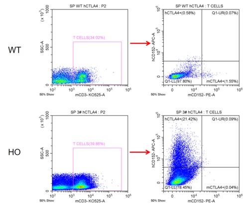 Image for ASHU-200226