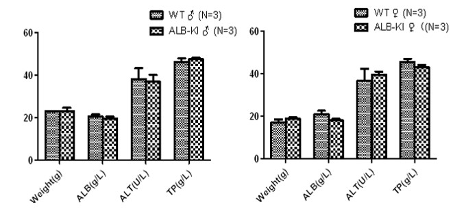 Image for ASKI-00002