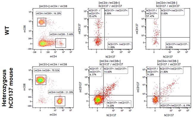 Image for ASHU-200279