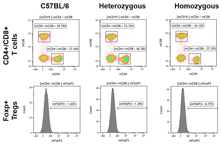 Image for ASHU-00114