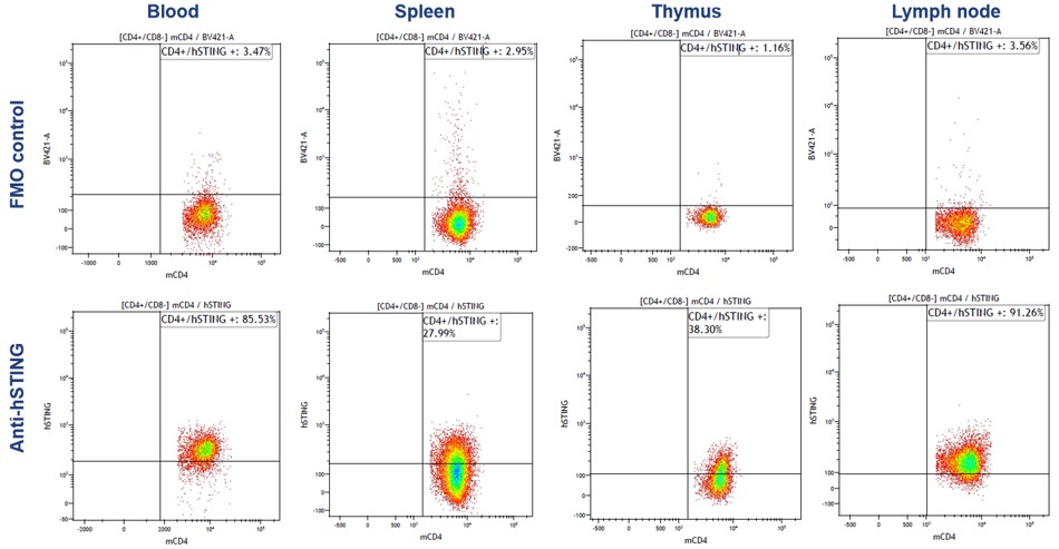 Image for ASHU-190036