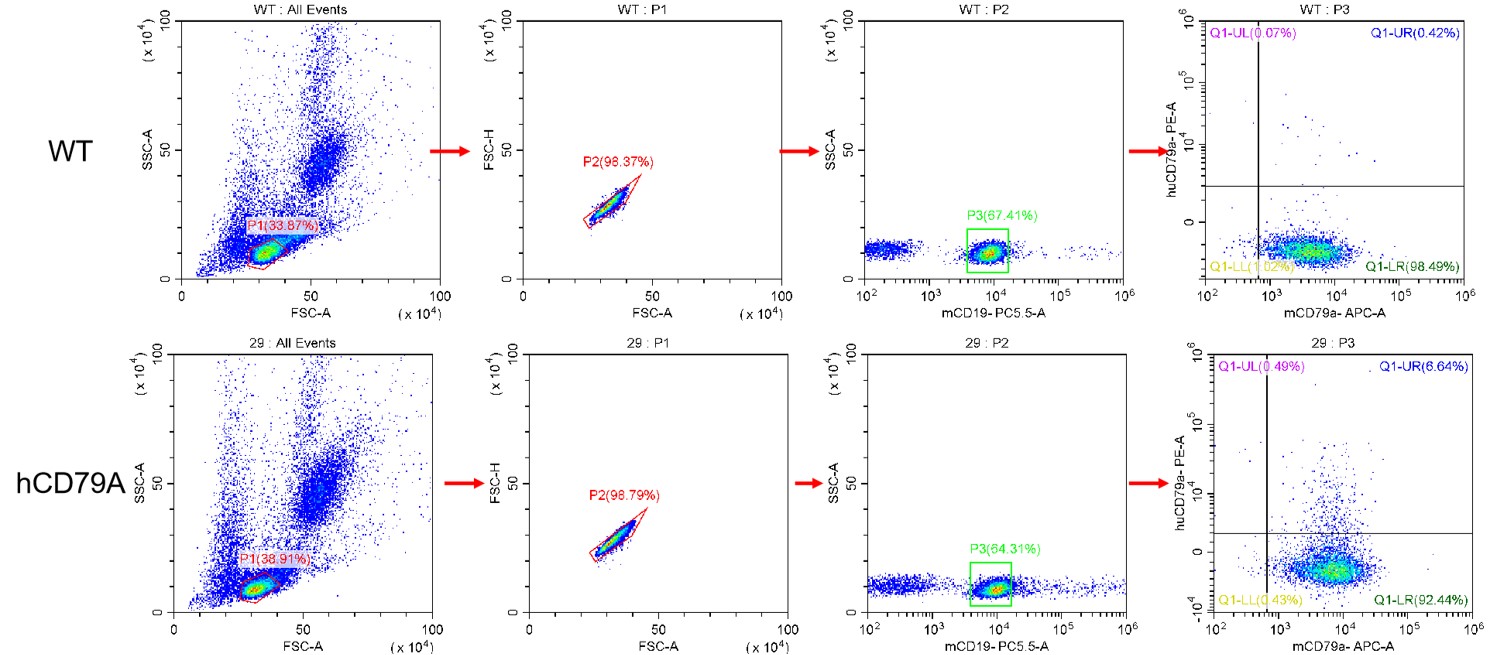 Image for ASHU-200217