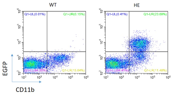 Image for ASKI-18047