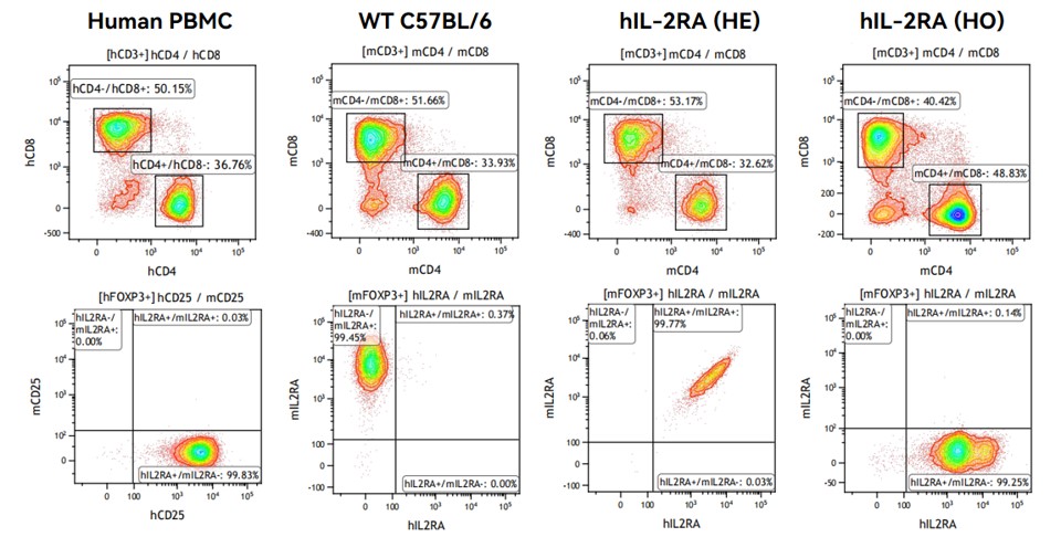 Image for ASHU-200275