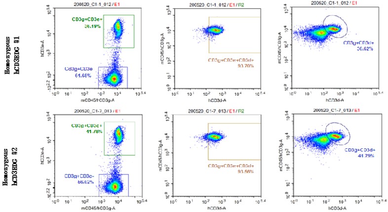 Image for ASHU-220120