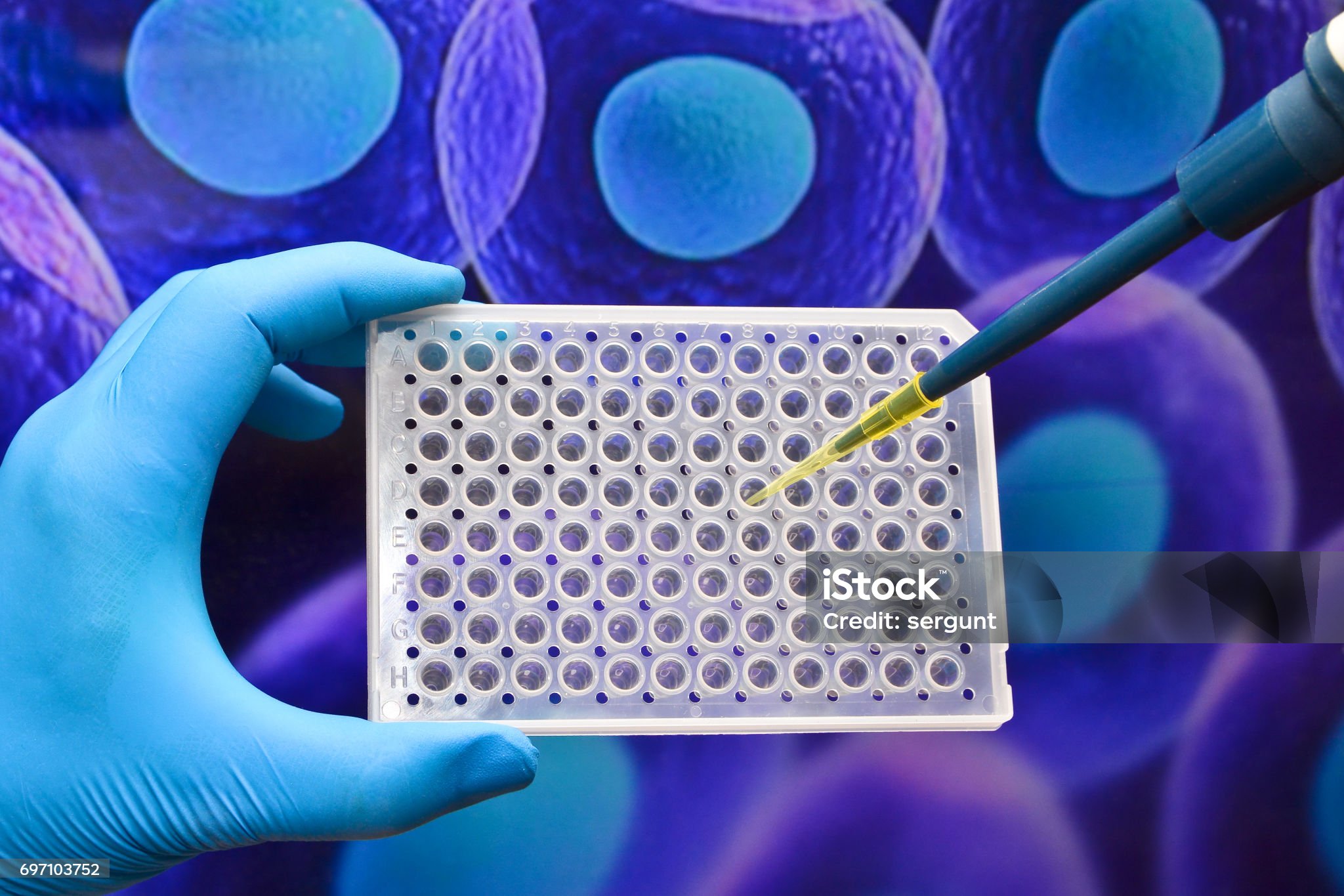 istockphoto-697103752-2048x2048