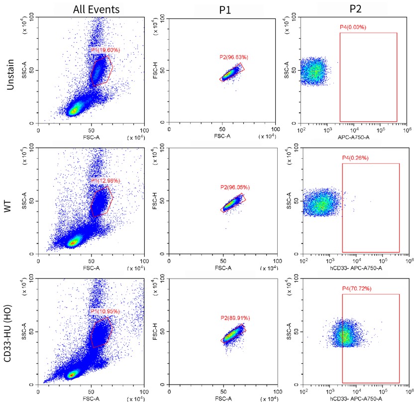 Image for ASHU-200002