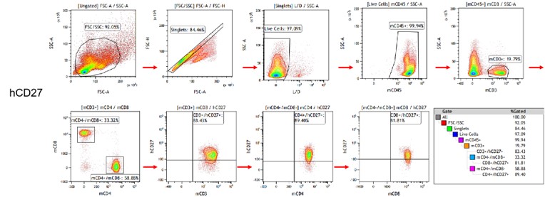 Image for ASHU-190035