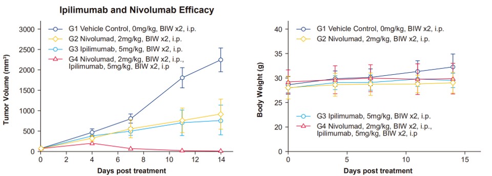 Image for ASHU-00079