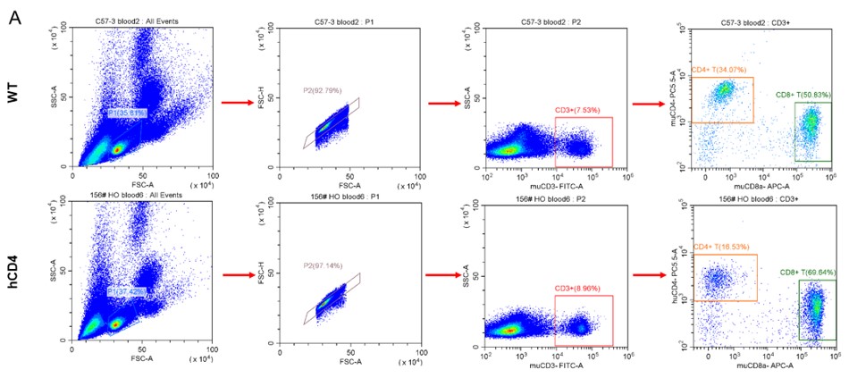 Image for ASHU-00115